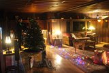 Cozy Christmas Living Room with Furry Friend