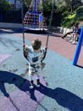 Joyful Swing at the Playground