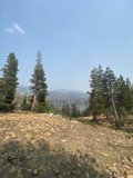 Majestic View of the Wilderness