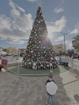Child Admiring Large Christmas Tree Display