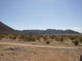 Journey Through the Desert