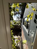 Nature's Intrusion