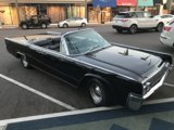Classic Beauty in the Parking Lot