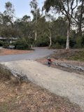 Riding High: A Young Adventurer's Journey