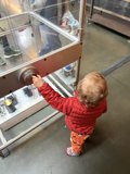 Curious Exploration