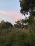 Riding into the Sunset
