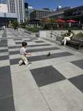 Urban Innocence