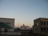 The Skyline Oasis