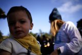 Ray of Sunshine: Sunset Adventures at the SF Zoo