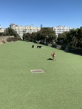 Pup's Playtime