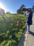 A Sunny Stroll in Alamo Square