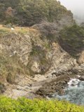 Majestic Cliffside