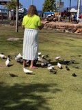 Bird-Feeding in Maui