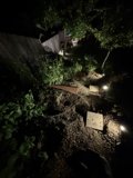 Moonlit Garden Path