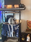 Sound Asleep