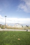 The Urban Oasis
