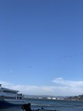 Flying High at the Ferry Building Terminal