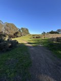 Exploring the Trails of McLaren Park