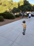 Stroll Through the Park