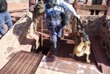 Mine Rescue Team with Canine Assistant