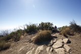 Hiking the Trails of Gaviota Peak