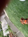 Backyard Adventures