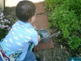 Herbs in the Hands of Young Gardener