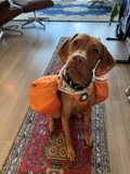 Backpack Buddy