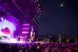 Electric Vibes Under the Coachella Moonlight