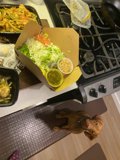 Hungry Pup Eyes Food Box
