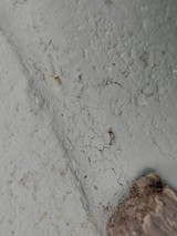 Cracked White Wall Corner with Peeling Paint