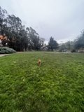 Running Free in the Grasslands