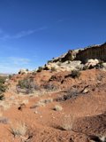 Red Desert Oasis