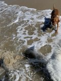 Playing in the Waves