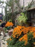 A Day in the Garden