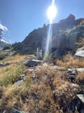 Walking amidst the Wildness