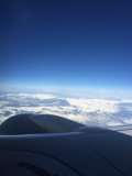 Winged Escape