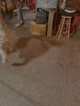 Motion Blurred Indoor Scene with Wooden Furniture