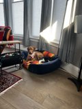 Cozy canine naptime