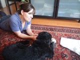Woman Bonding with Large Black Dog on Rug