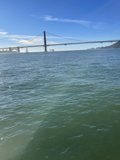 Golden Gate Glory