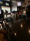 Canine Companions at the Bar