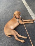 Relaxing on the Road