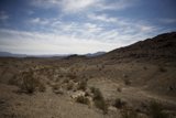 Desert Scenery
