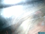 Blonde Fire: A Look You Can't Resist