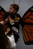 Nature's Embrace: Serene Moments at the San Francisco Zoo