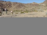 Capturing the Beauty of the Desert