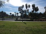 Skating under the Echo Park sun