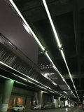The Green Light Tunnel