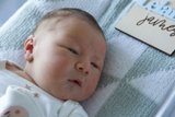 Welcome, Leland!